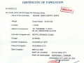 -сертификат-(образец)